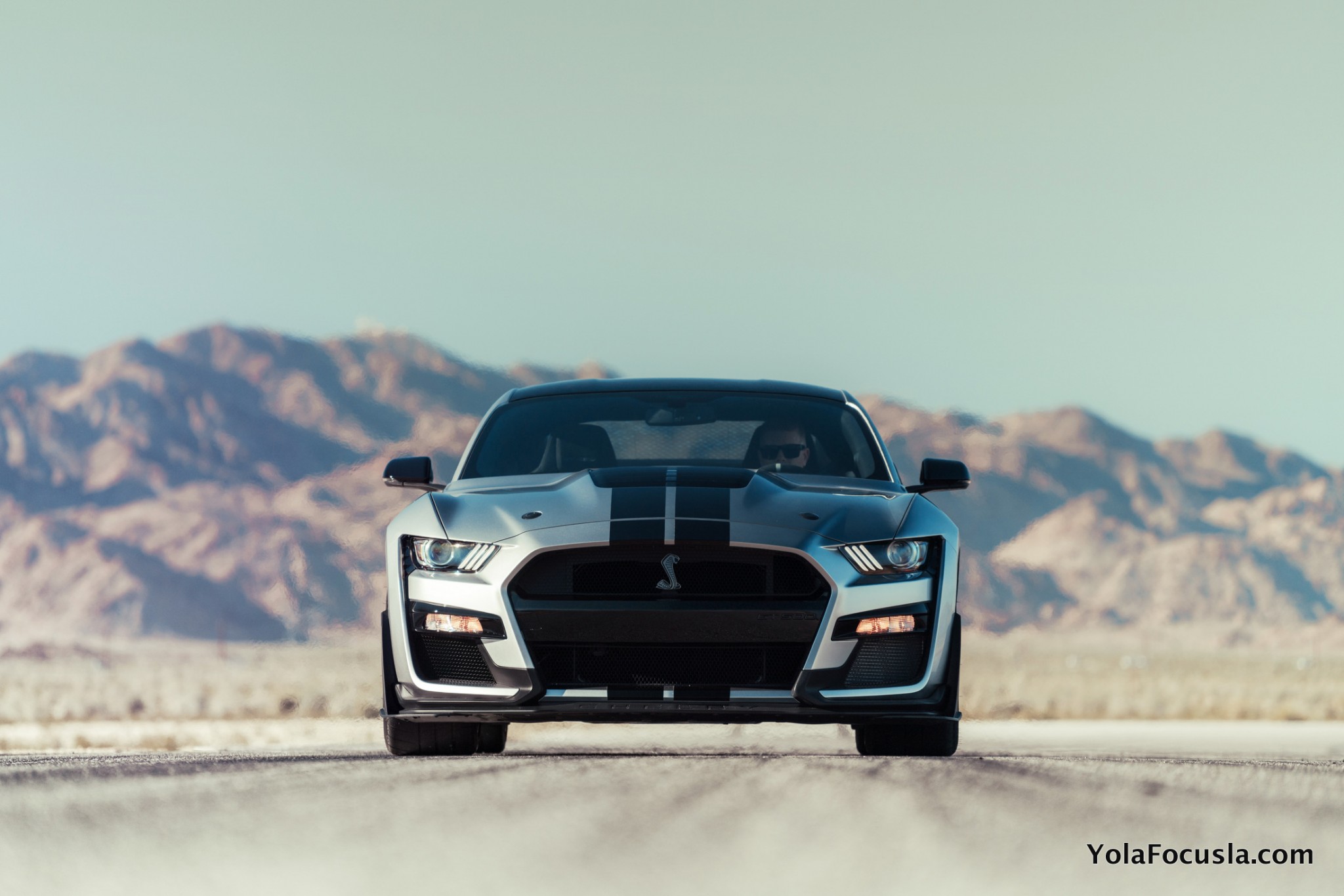  2020 Mustang Shelby GT500 - Yola Focusla Illustration 