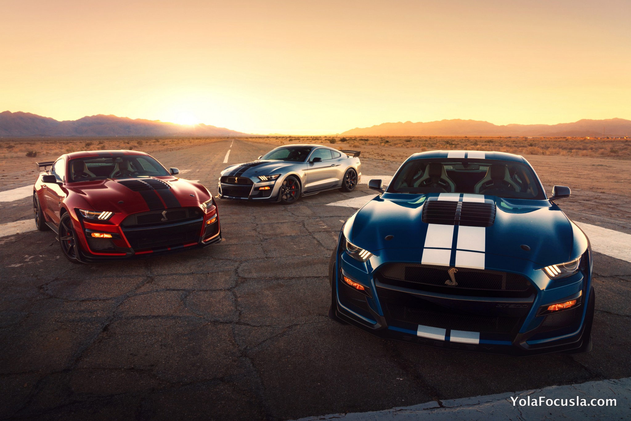  Foto zu 2020 Mustang Shelby GT500 - Yola Focusla 