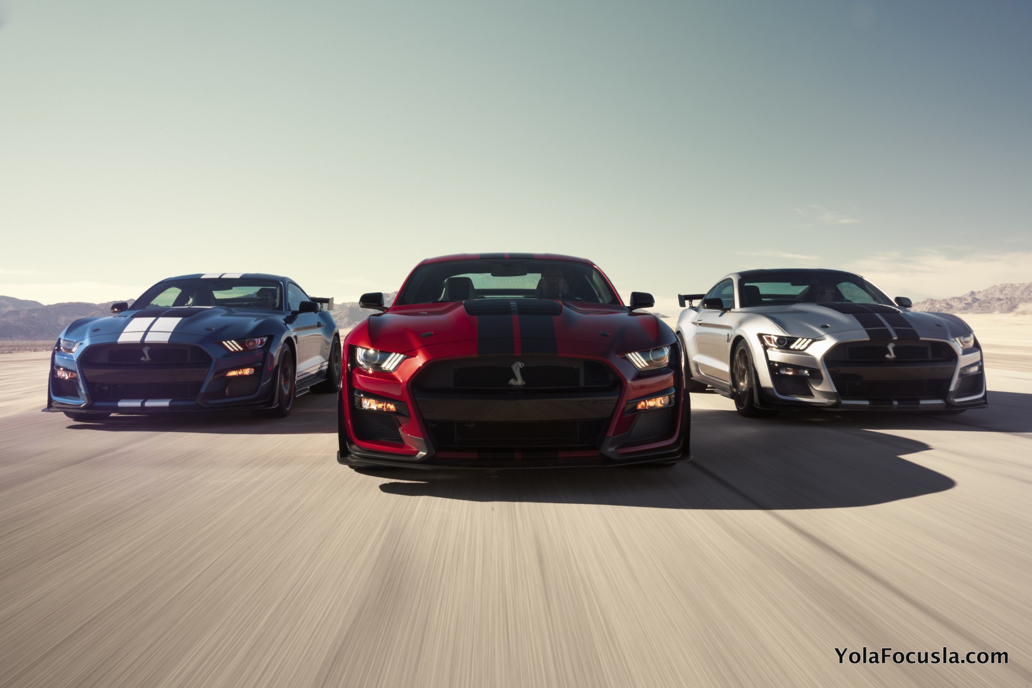  Foto zu 2020 Mustang Shelby GT500 - Yola Focusla 